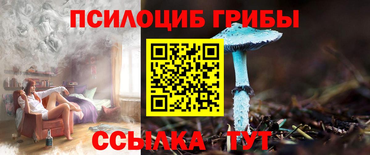 Псилоцибиновые грибы Psilocybe Верхняя Пышма